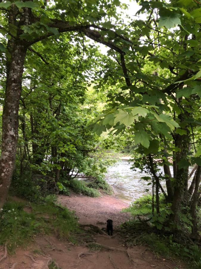 Symonds Yat - Herefordshire Property With Stunning Views Екстер'єр фото