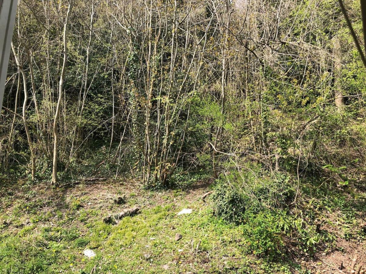 Symonds Yat - Herefordshire Property With Stunning Views Екстер'єр фото
